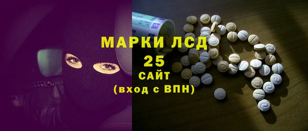 стаф Новодвинск