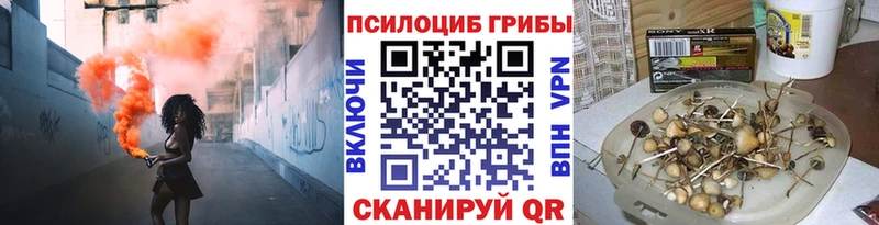 Купить  Гороховец  Галлюциногенные грибы Magic Shrooms 